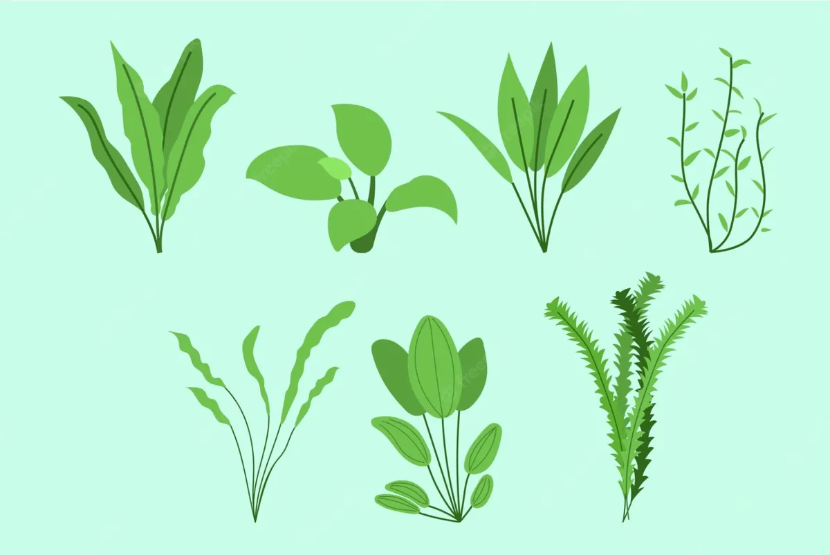 Why keep Aquatic Plants in your Aquarium?