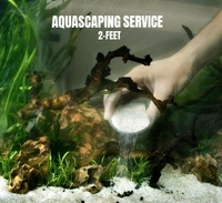 Aquarium Maintenance Service Singapore: Keep Your Fish Tank in Top  Condition! - Kaizenaire