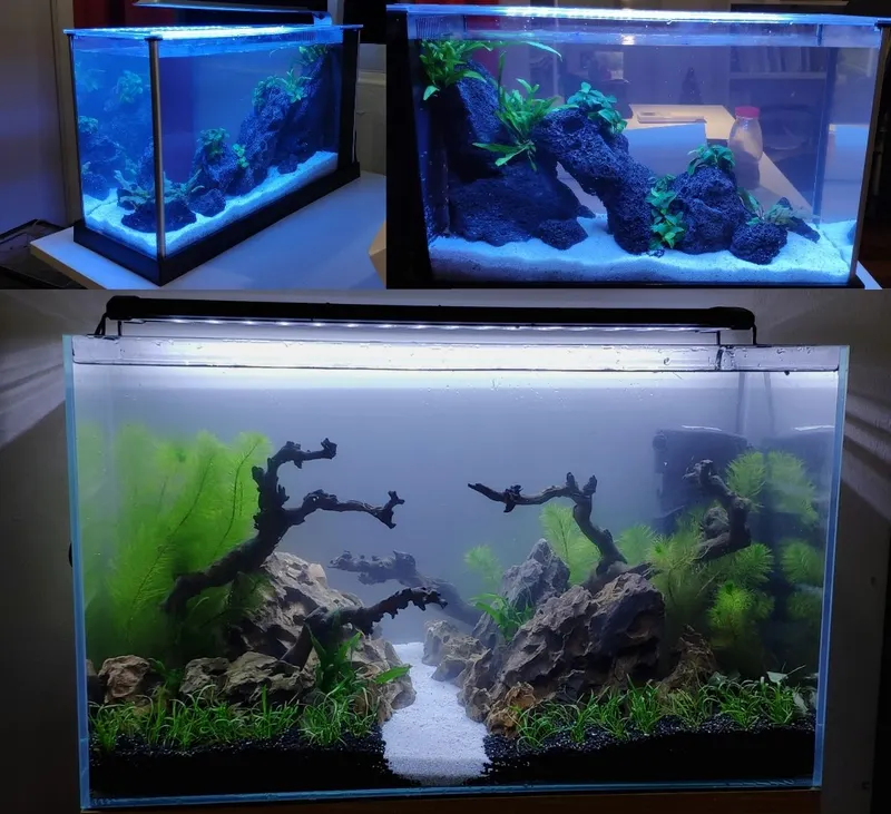 Aquascaping supply shop