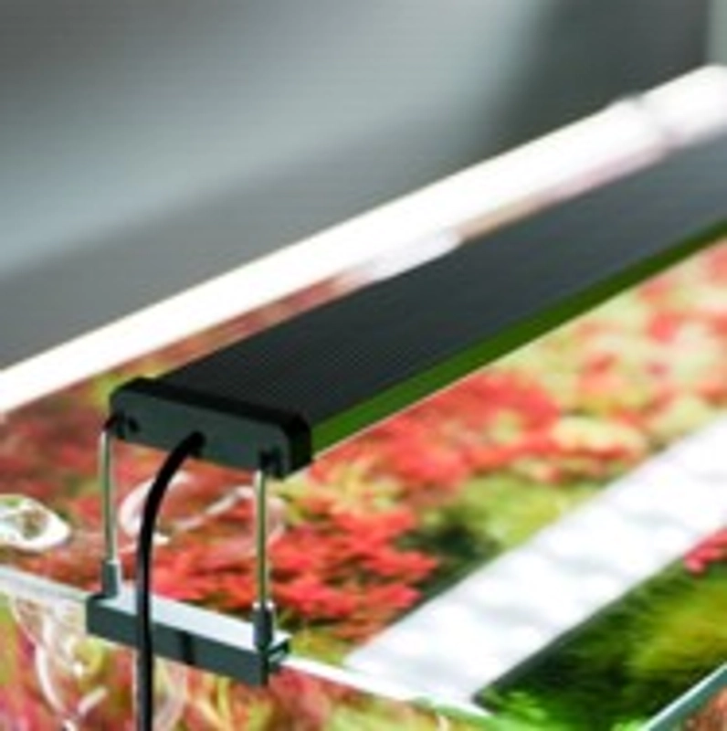 The 181 Aquarium - Chihiros B Series LED Lighting System