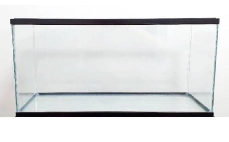 Aqua Culture 10-Gallon Glass Aquarium Starter Kit 